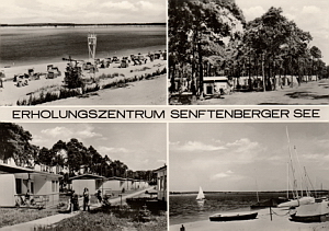 Senftenberg